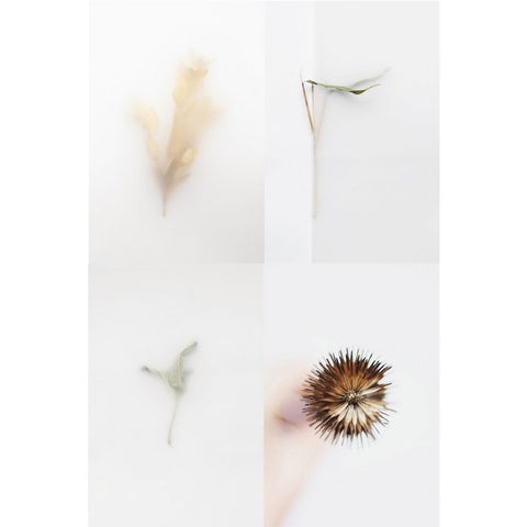 floortje.louise Studio A5 art prints a hymn to nature collection