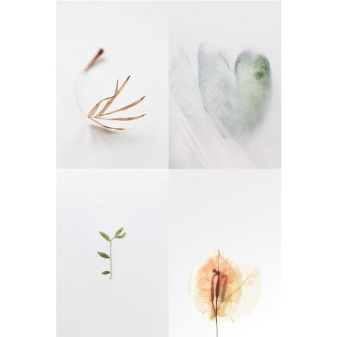floortje.louise Studio A5 art prints a hymn to nature collection