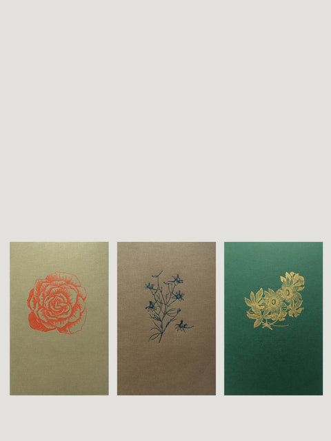 Le Typographe Plants softcover notebook set (3)