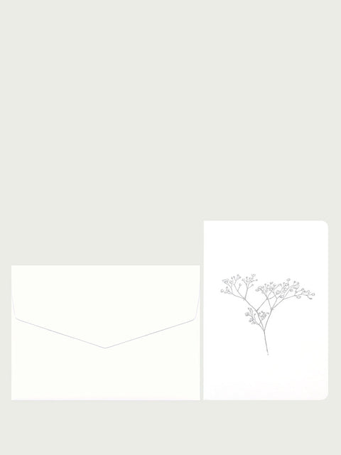 Le Typographe Gypsophile folded cart + envelope